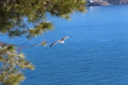 El Barco Apartmán *