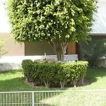 Appartement El Barco